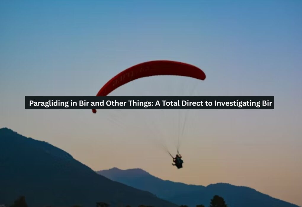 Paragliding in Bir