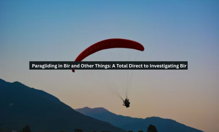Paragliding in Bir