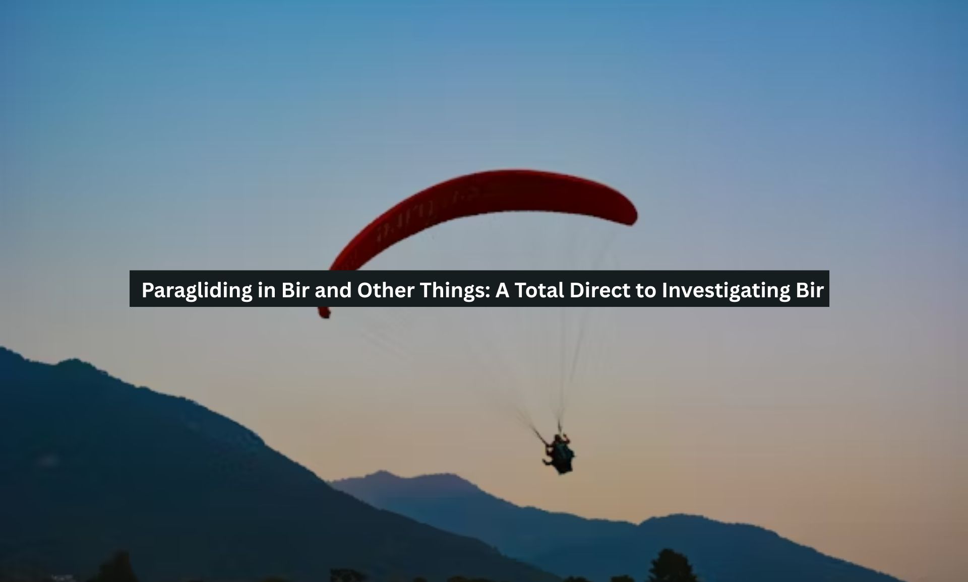 Paragliding in Bir