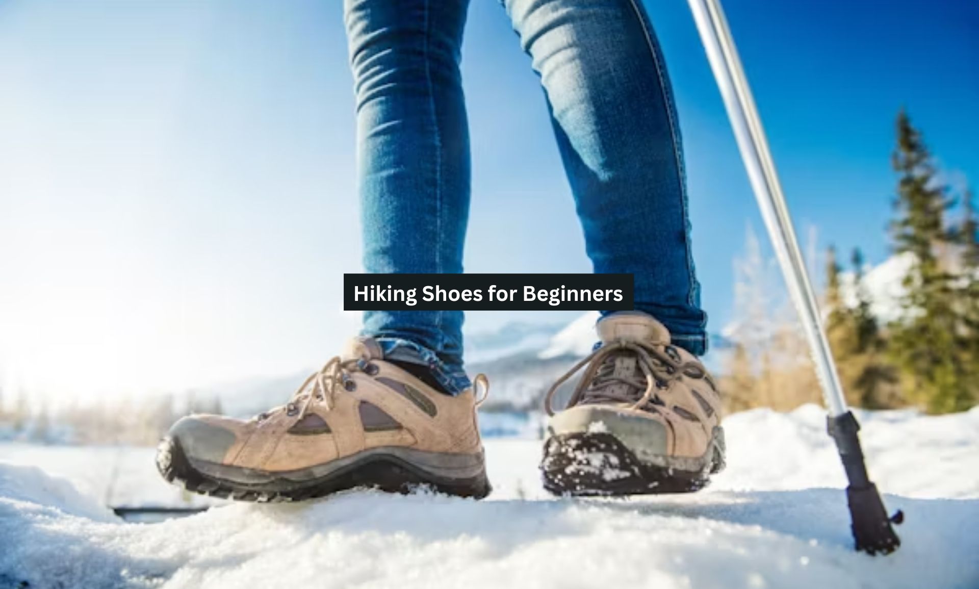 Hiking Shoes